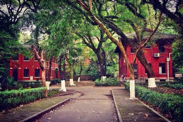 中山大学怎么样？