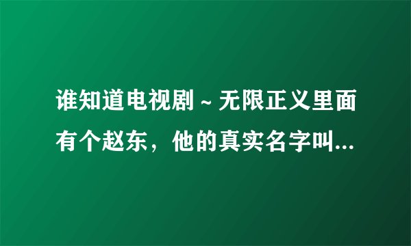 谁知道电视剧～无限正义里面有个赵东，他的真实名字叫啥？谢谢了