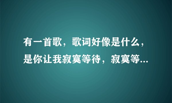 有一首歌，歌词好像是什么，是你让我寂寞等待，寂寞等待，寂寞等待，是什么歌？