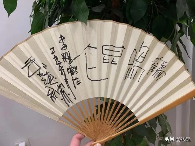 昨晚特意买了优酷会员为了看钢丝节，却小有失望，您呢？对昨晚的钢丝节怎么看？