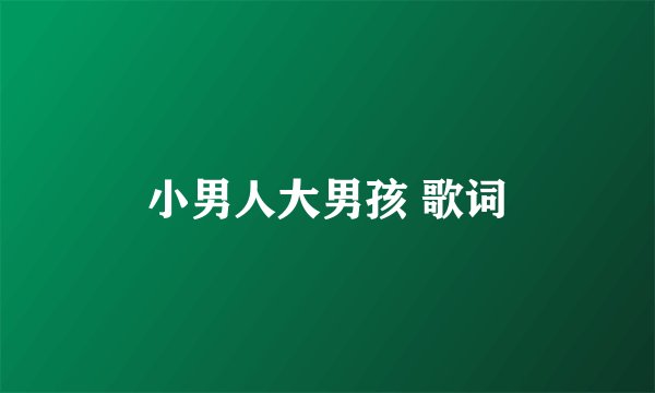 小男人大男孩 歌词
