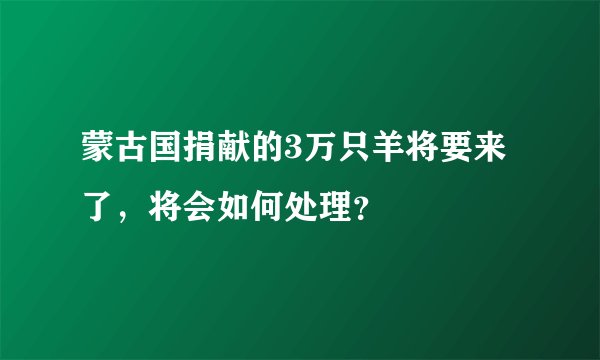 蒙古国捐献的3万只羊将要来了，将会如何处理？