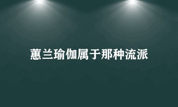 蕙兰瑜伽属于那种流派