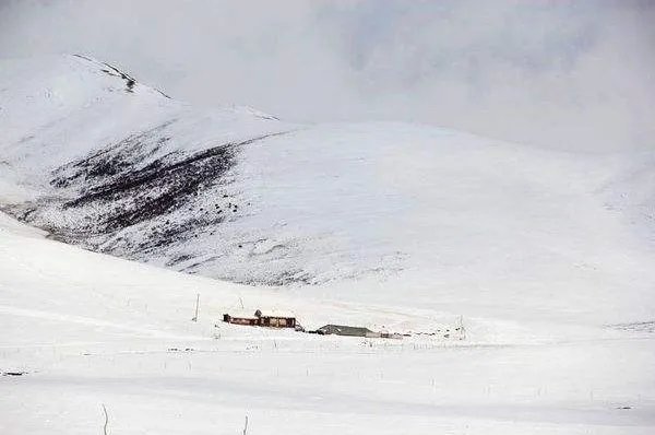 青海祁连山突降大雪，对当地游客有何影响？