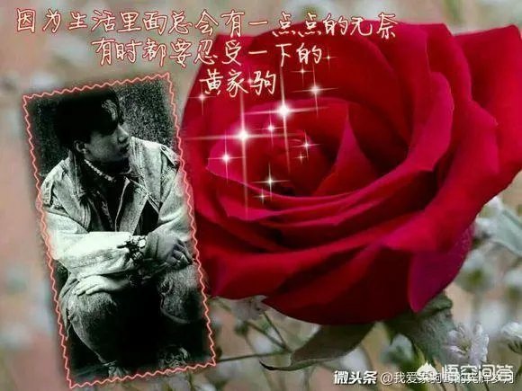 模仿黄家驹最像的是谁