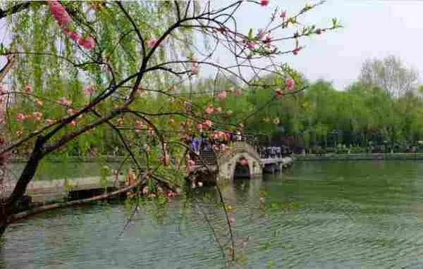 临刑杀母的出处