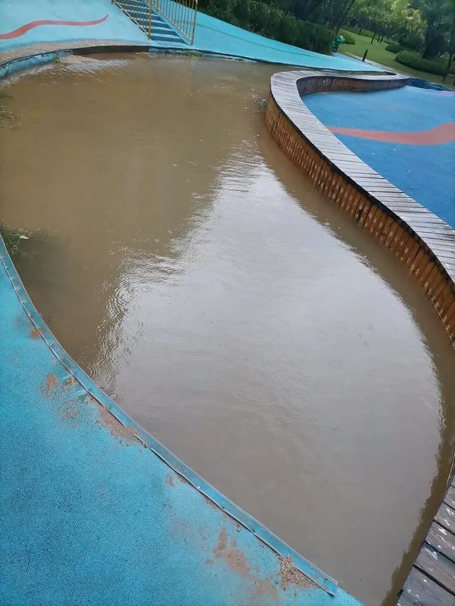 张泽群怒批河南卫视七夕奇妙夜节目,究竟惹住了谁?