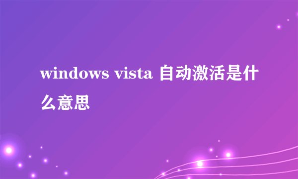 windows vista 自动激活是什么意思