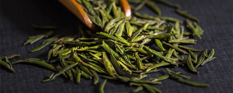 雀舌属于什么茶类 雀舌茶叶哪个产地最好