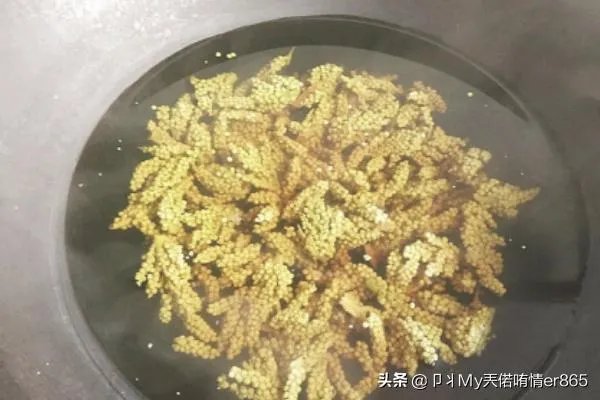 棕榈树花的吃法？