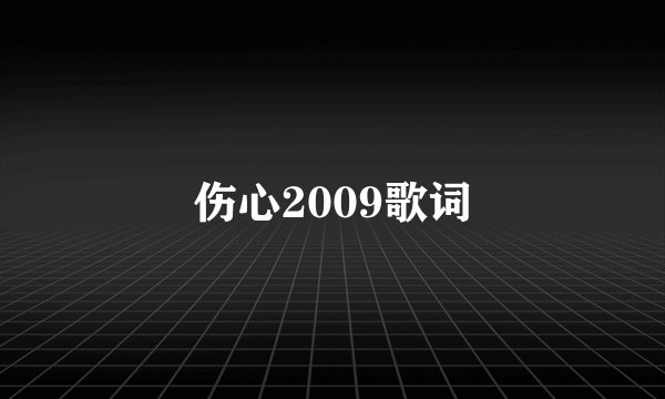 伤心2009歌词