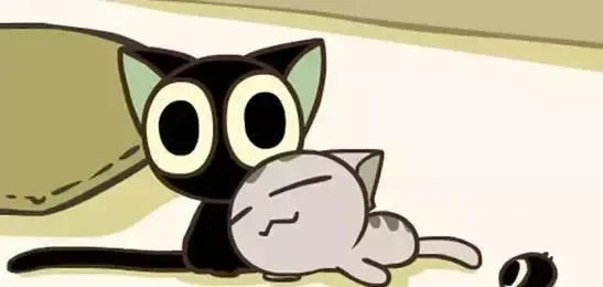 你读过什么特别甜的，特别溺宠的小说？