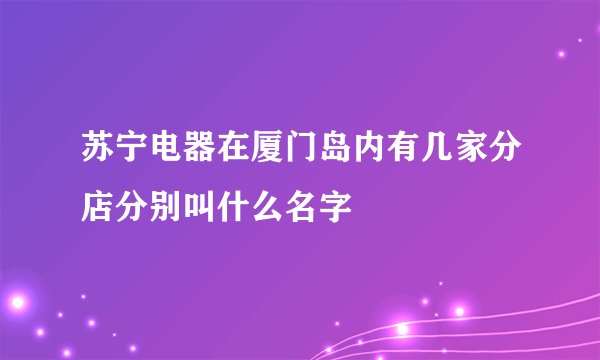 苏宁电器在厦门岛内有几家分店分别叫什么名字