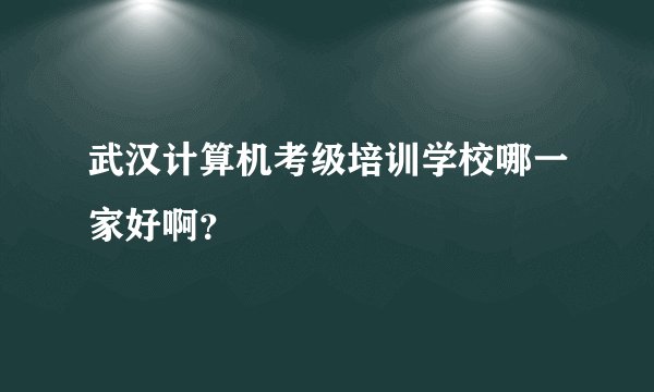 武汉计算机考级培训学校哪一家好啊？