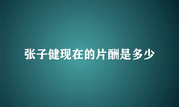张子健现在的片酬是多少