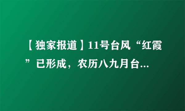 【独家报道】11号台风“红霞”已形成，农历八九月台风毒，养虾人须做好打仗准备！