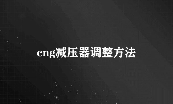 cng减压器调整方法