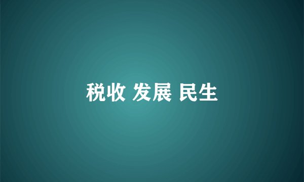 税收 发展 民生