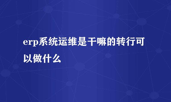 erp系统运维是干嘛的转行可以做什么