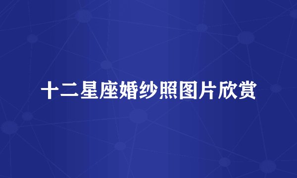 十二星座婚纱照图片欣赏