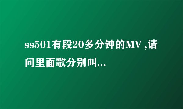 ss501有段20多分钟的MV ,请问里面歌分别叫什么名字?