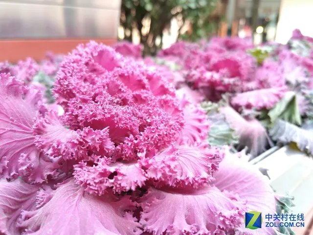 金立M2017评测:全面升级诠释成功的标配