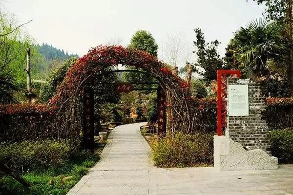 绵阳农家乐推荐