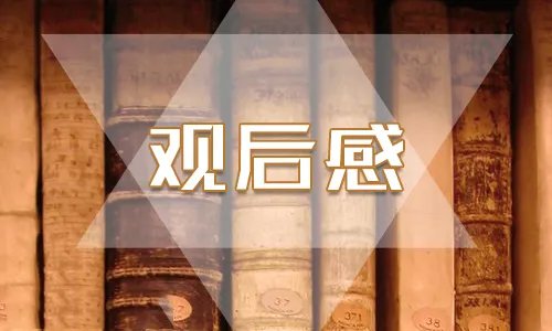 观看《英雄之城》观后感作文最新大全5篇