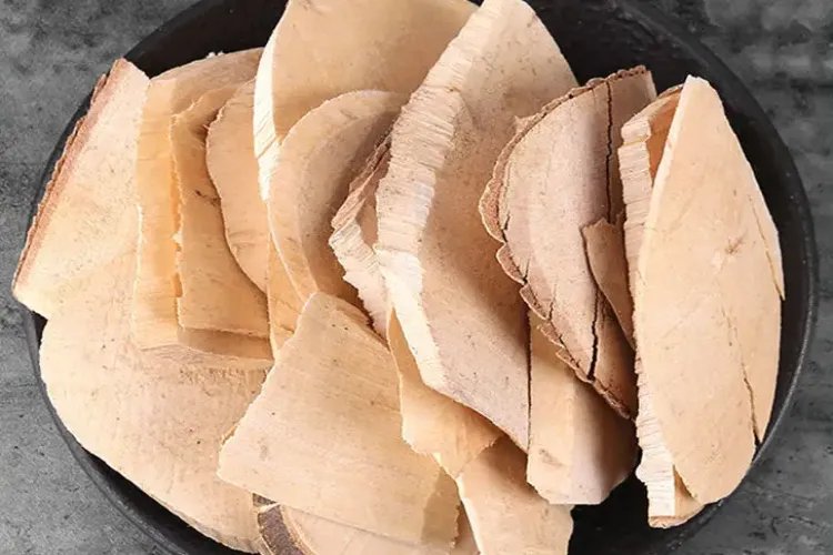 三股叉药草图片