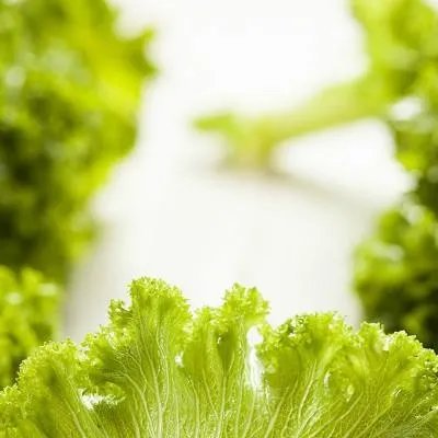 堕胎药在哪里买