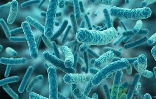 全国首例裂谷热病 裂谷热病是什么病？