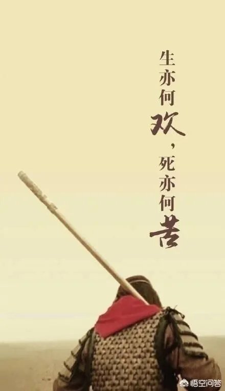 如何看待王思聪名下2200万资产被冻结，接下来还会发生什么？