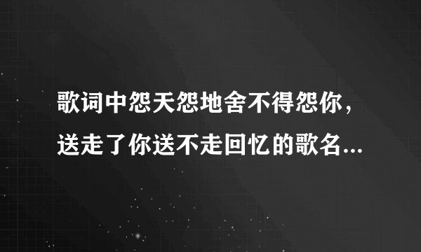 歌词中怨天怨地舍不得怨你，送走了你送不走回忆的歌名叫什么？