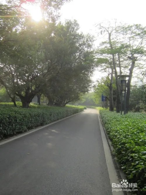 厦门五缘湾湿地公园好玩吗