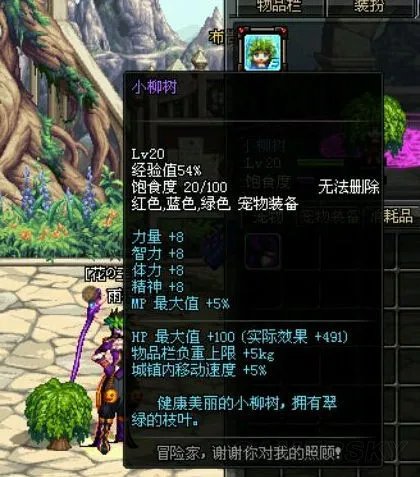 DNF小柳树宠物是永久的吗 小柳树宠物有期限限制吗