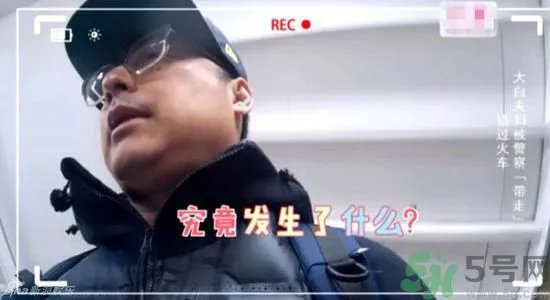 李湘为什么被警察带走？李湘被警察带走是怎么回事？