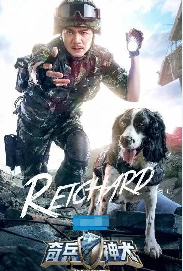 你们觉得最好看的综艺节目是哪个？