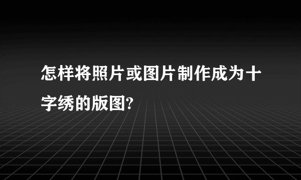 怎样将照片或图片制作成为十字绣的版图?