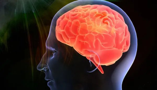 智商可以提高吗？