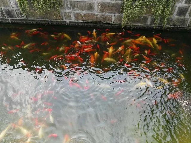 上海的豫园好玩吗？值得一去吗？