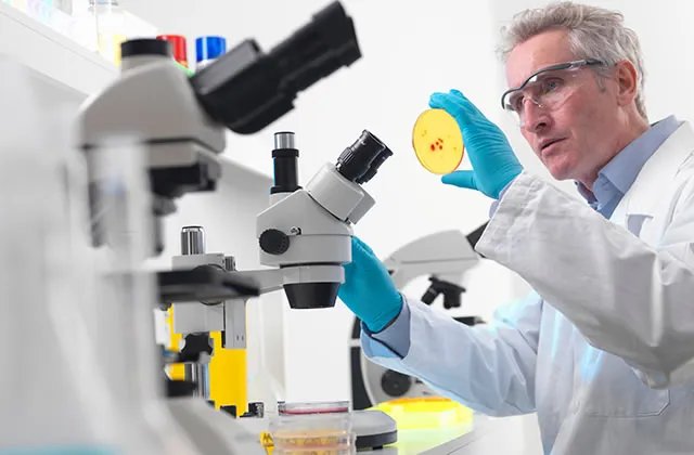 制药设备有哪些 制药装备行业介绍