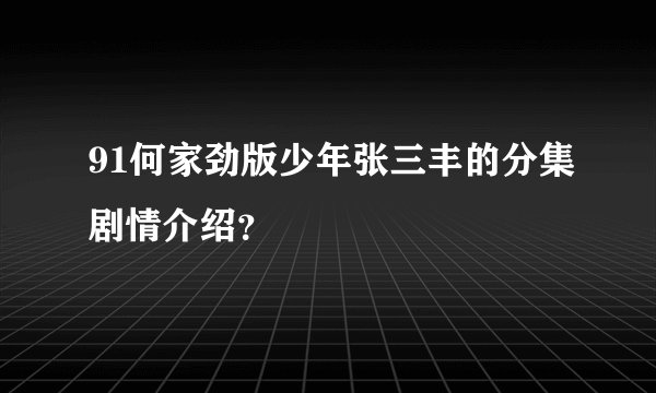 91何家劲版少年张三丰的分集剧情介绍？