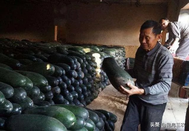 冬瓜采收回来后,有哪些贮藏方法可以让冬瓜贮藏的时间更长?