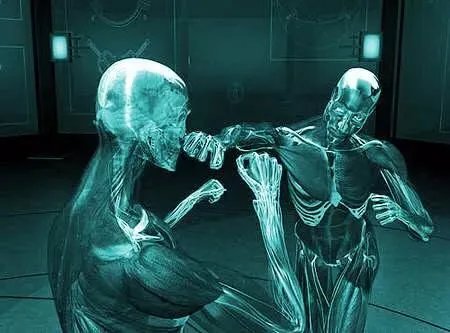 职业泰拳一年，为什么我的力量还是非常小？