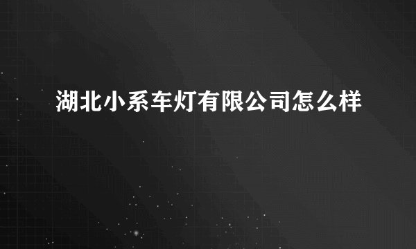 湖北小系车灯有限公司怎么样