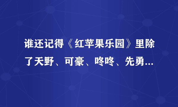 谁还记得《红苹果乐园》里除了天野、可豪、咚咚、先勇以外的那个男孩的名字，我需要他的资料和照片