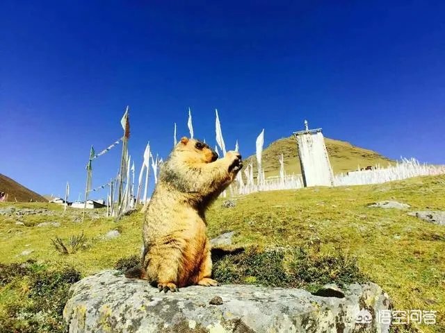 你觉得国内哪些旅游景点是摄影创作团队最爱去的？