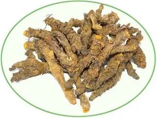 川莲的功效与作用