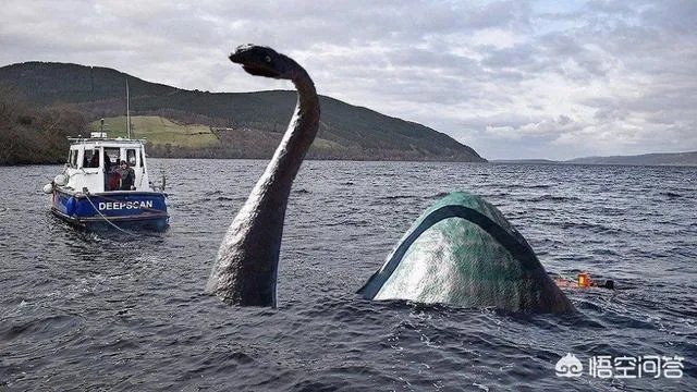 海怪和水怪，有什么区别？