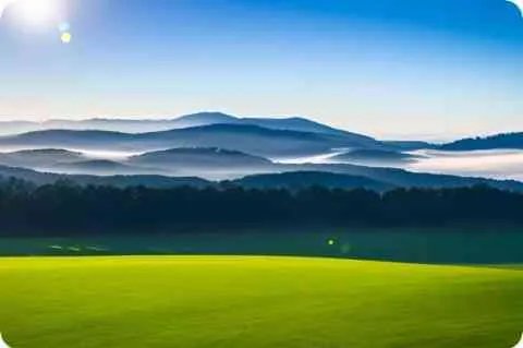 角都、飞段怎么死的被谁 ... 的第几集？